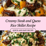 Steak and Queso Rice Recipe