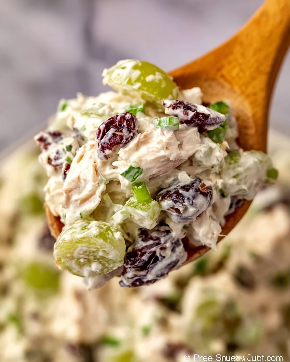 A close-up of a wooden spoon holding a creamy mixture that includes light green grape slices, small chopped green onions, shredded white chicken, and dark red pieces, possibly dried cranberries, all mixed in a thick white dressing. The texture looks soft and creamy with a mix of smooth and chunky elements, and the background is blurred with similar colors, showing more of the creamy mix on a white marbled surface. Photo taken with an iphone --ar 4:5 --v 7